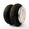 Firestone 20F RB 2ST1/4NPT 2BN, W013586905 W013586905 - alternate 2